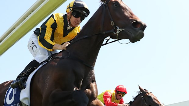 Chilly Girl wins the Widden Stakes at Rosehill on Saturday.