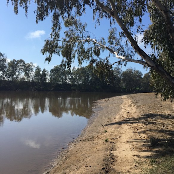 Wagga Wagga City Council has adopted an inland water safety management plan which pushes the Respect the River message.