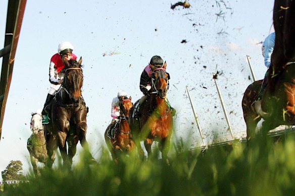 Racing heads to Taree on Friday.