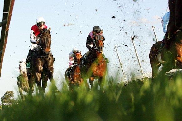 Racing returns to Wagga on Christmas Eve.