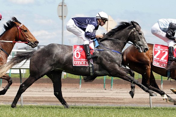 Efficient won the 2007 Melbourne Cup.