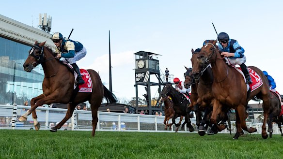 Jimmysstar (left) bounces back to form to win the Manikato in September.