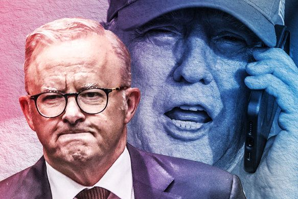Anthony Albanese and US President Donald Trump have yet to meet. 