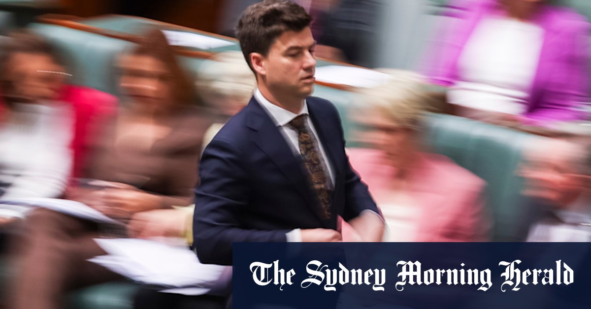 Labor factional player Sam Rae feels sting of question time