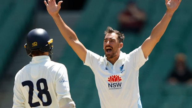 Mitchell Starc will make a rare appearance in the NSW Sheffield Shield side alongside a host of Test stars.