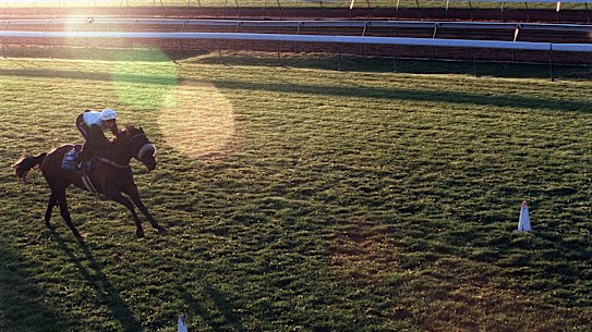 Racing returns to Moree on Sunday.