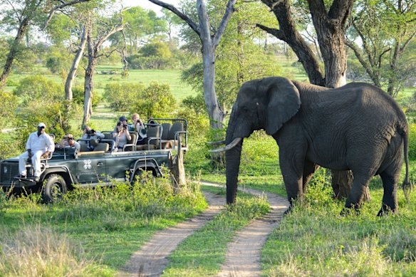 A close encounter at Londolosi private game reserve, South Africa.