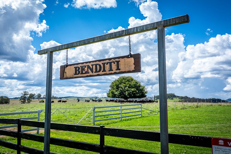Under the deal with New Forests, the operation will be known as Benditi Pastoral Company.