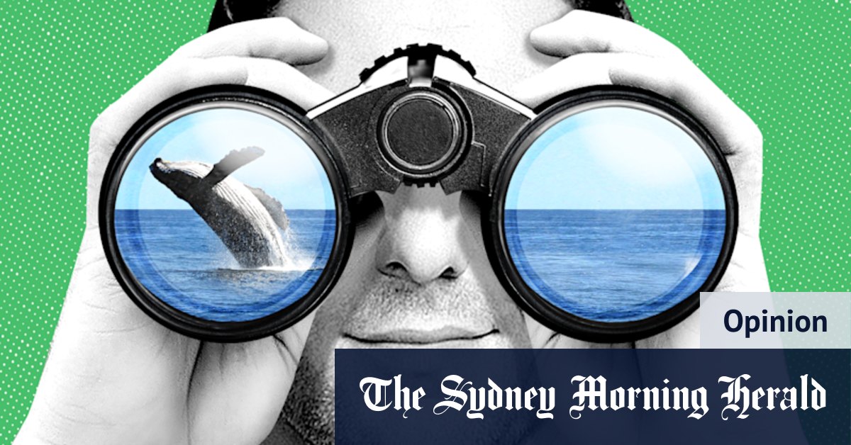 “Do you see what I see? (And more importantly, is it a whale?)”