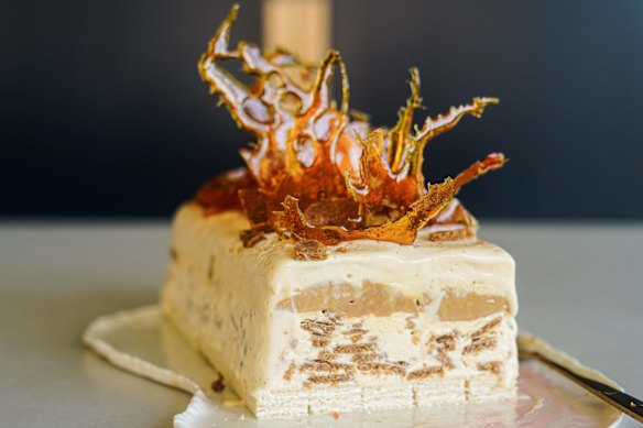 Caramel and ginger biscuit ice-cream cake topped with spiced toffee shards.