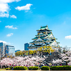 Osaka,Japan - April 8, 2019: Spring day with cherry blossoms and Osaka Castle in Osaka, Japan. The castle is one of Japan&rsquo;s most famous landmarks.
