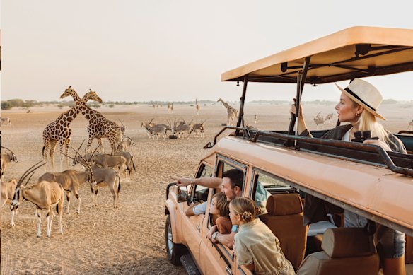 Excursion at Sir Bani Yas Island in Abu Dhabi … Celestyal Cruises’ Persian Gulf voyages.