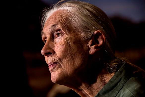 The Taronga Institute of Science and Learning’s Education Centre is dedicated to her.