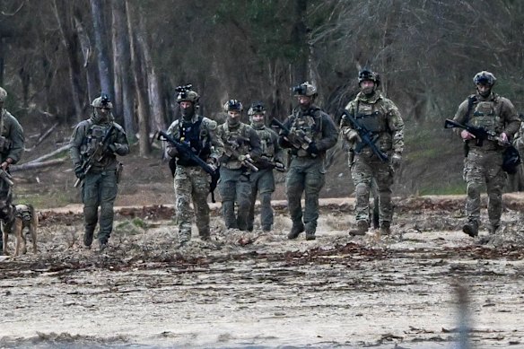 Police searching a plantation in Porepunkah on Monday. 