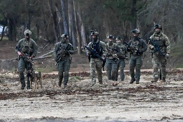 Police searching a plantation at Porepunkah during the manhunt for Dezi Freeman in September 2025.