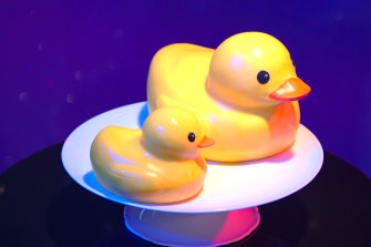 Do you dare to take these rubber duckies into the bath?