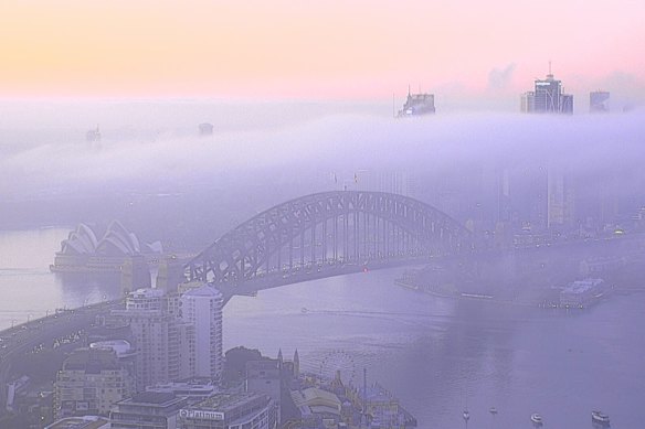 Fog blanketing Sydney this morning. 
