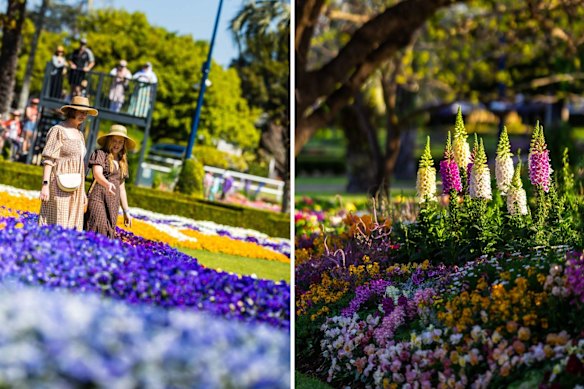 As well as an abundance of blooms, the Toowoomba Carnival of Flowers offers live music, food events, and rides.