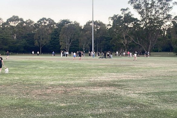 The sinkhole drew quite a crowd.
