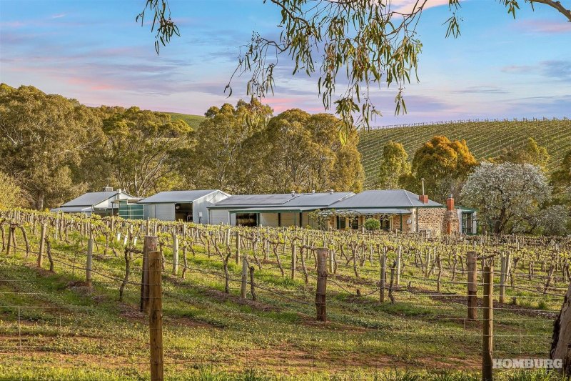 People want to buy a lifestyle vineyard, like Tweedies Gully Winery, Rohan Semmler says.