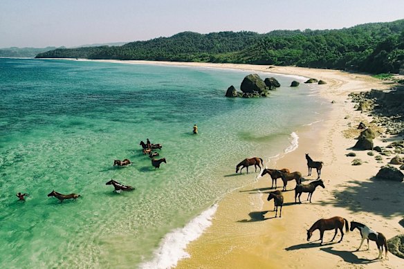 Local resort Nihi Sumba offers a swimming with horses experience.