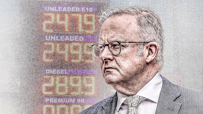 Albanese can protect us from this energy crisis