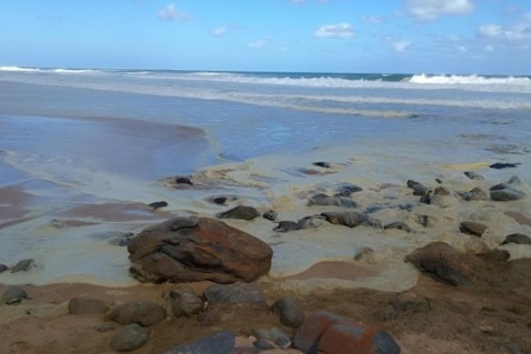 The hallmark grimy sea foam of the Karenia algal bloom, seen at Waitpinga in South Australia in March last year, when the bloom first appeared.