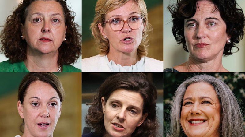 Teal independents Allegra Spender and Zali Steggall lead push to form new centrist political party
