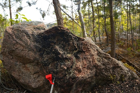 Infini Resources has discovered visible disseminated uraninite at surface in Canada’s Athabasca Basin, with scintillometer readings hitting up to 67,540 counts per second.