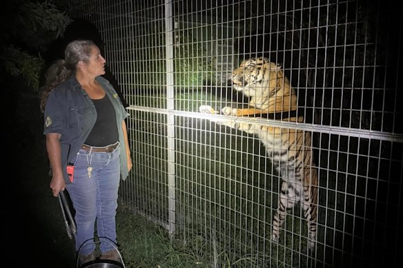 Darling Downs Zoo owner Stephanie Robinson with a Sumatran tiger.