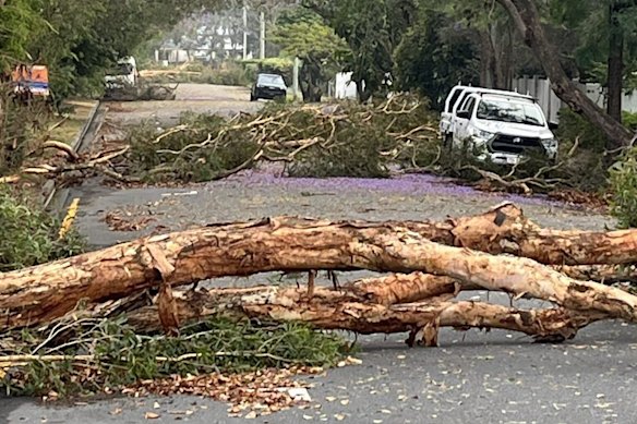 Trees cover a street in Sherwood.