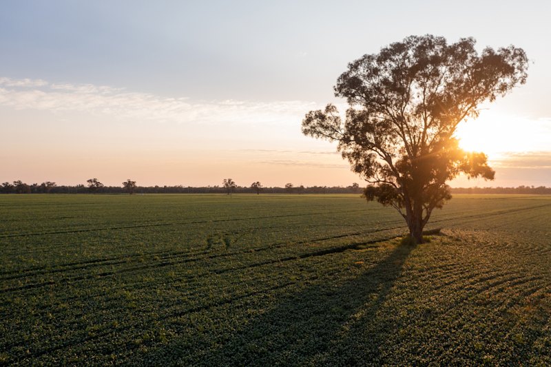 Kilter Rural, an asset manager half-owned by Regal Funds Management, has put a 7210-hectare cropping and grazing asset in the Southern Riverina region of NSW up for sale with a $60 million price tag. 