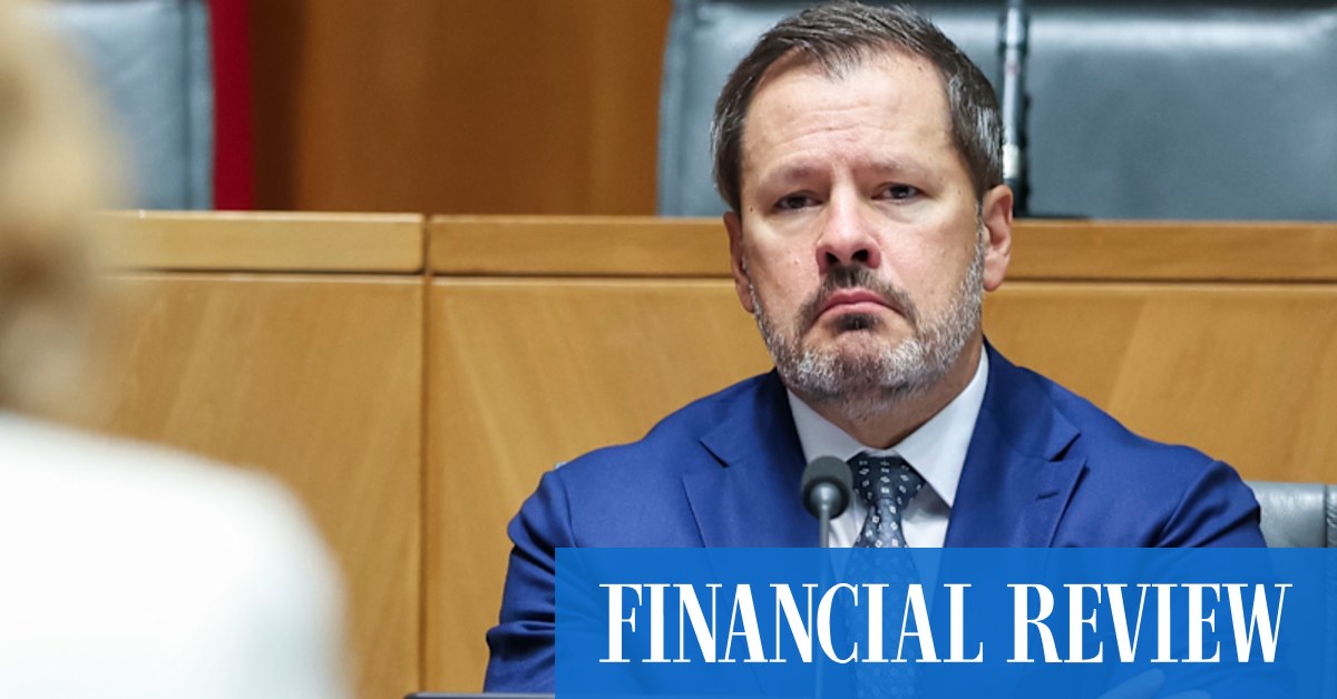 Husic: AI giants should be forced to give Australian business privileged access to tech as a condition of foreign investment approval