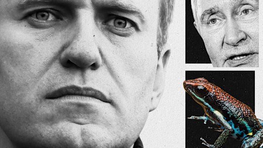 Navalny Putin frog
