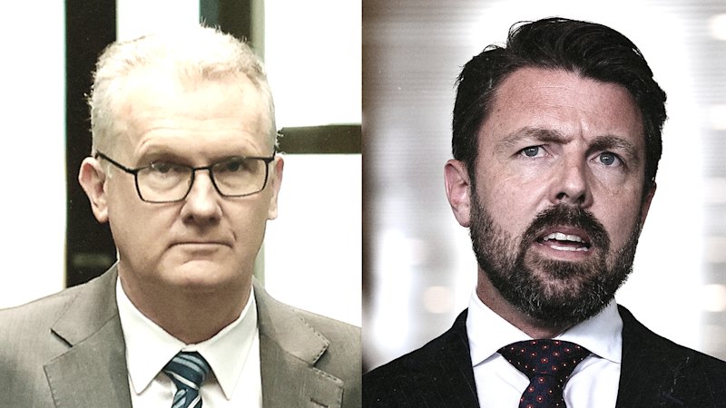 Labor MPs divided over Albanese’s stance on repatriation from Syria