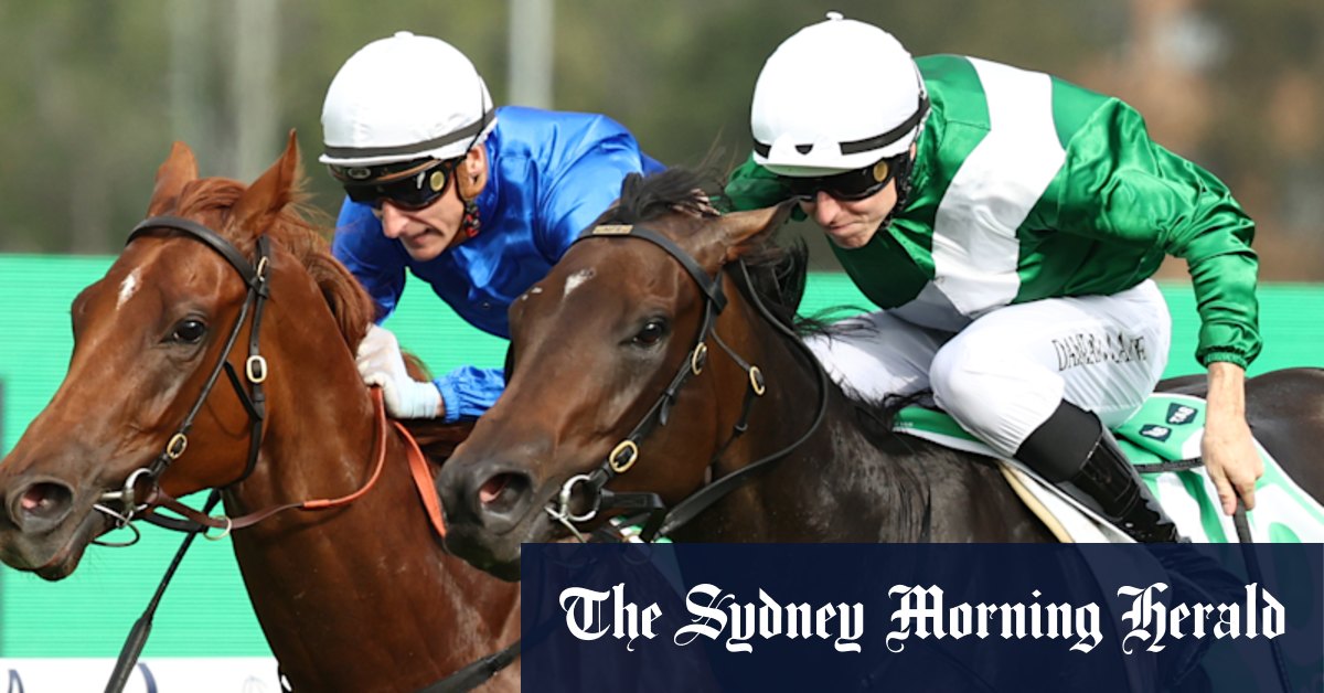 Michael Freedman sticking to patient path with Golden Slipper winner Marhoona despite lure of conquering Everest