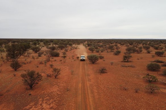 Gateway Mining’s flagship Yandal project, about 85 kilometres northeast of Wiluna in WA, is located in the prospective Yandal Greenstone Belt in the Yilgarn geological craton.