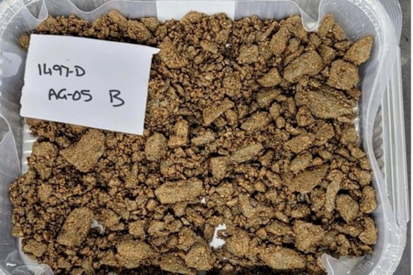 Kary Zone Column Leach tests from Red Metal Limited’s Sybella rare earths project in Queensland. Fine chips from crushing bind to the coarser fragments, helping to maintain a high permeability in the column. 