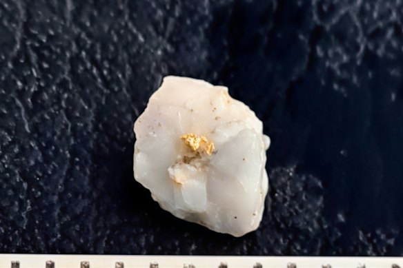 2.	Visible gold in quartz veining at Saturn Metals Apollo Hill project 60 kilometres south east of Leonora in WA.