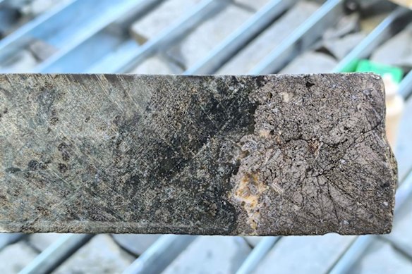 Diamond core from 343.1m depth at Strickland Metals’ latest headline hole in the Gradina prospect shows strong pyrrhotite alteration and assayed 7.7g/t gold. 