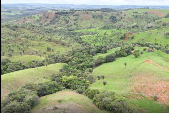 The northern end of Resouro Strategic Metals’ Tiros Central block in Brazil.