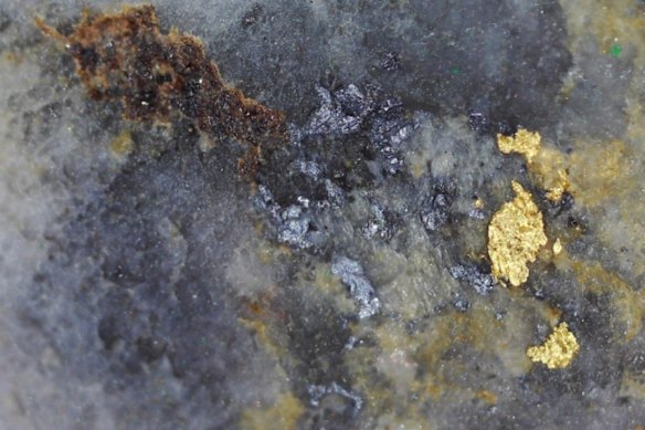 St Arnaud Comstock visible gold with galena and sphalerite in drill hole 25NED002.