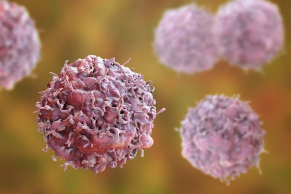 Even among hard-to-treat solid tumours, pancreatic cancer is in a league of its own when it comes to survival mechanisms.