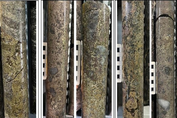 Visual copper sulphides in core from Alvo Mineral’s Touro prospect, Palma VMS project, Brazil