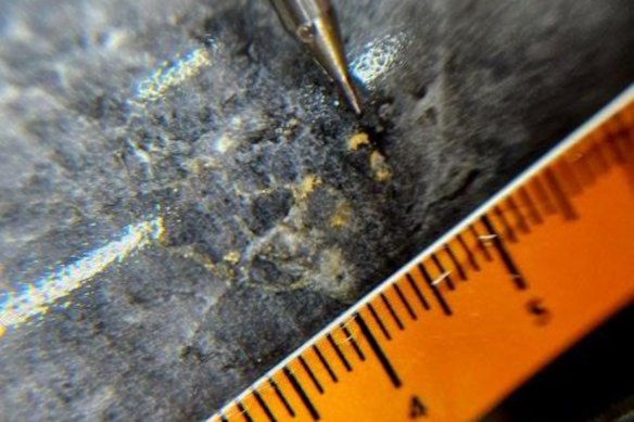 Olympio Metals has logged visible gold in quartz veining with sulphides over a 9m interval from 183m in its inaugural drill hole at the company’s Bousquet project in Quebec, Canada.