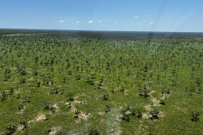 The 450,000-hectare cattle station on the Northern Territory’s Barkly Tablelands.