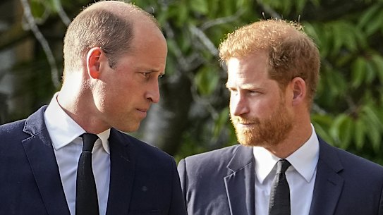 Prince William and Prince Harry after viewing the floral tributes for Queen Elizabeth II outside Windsor Castle following her death in 2022.