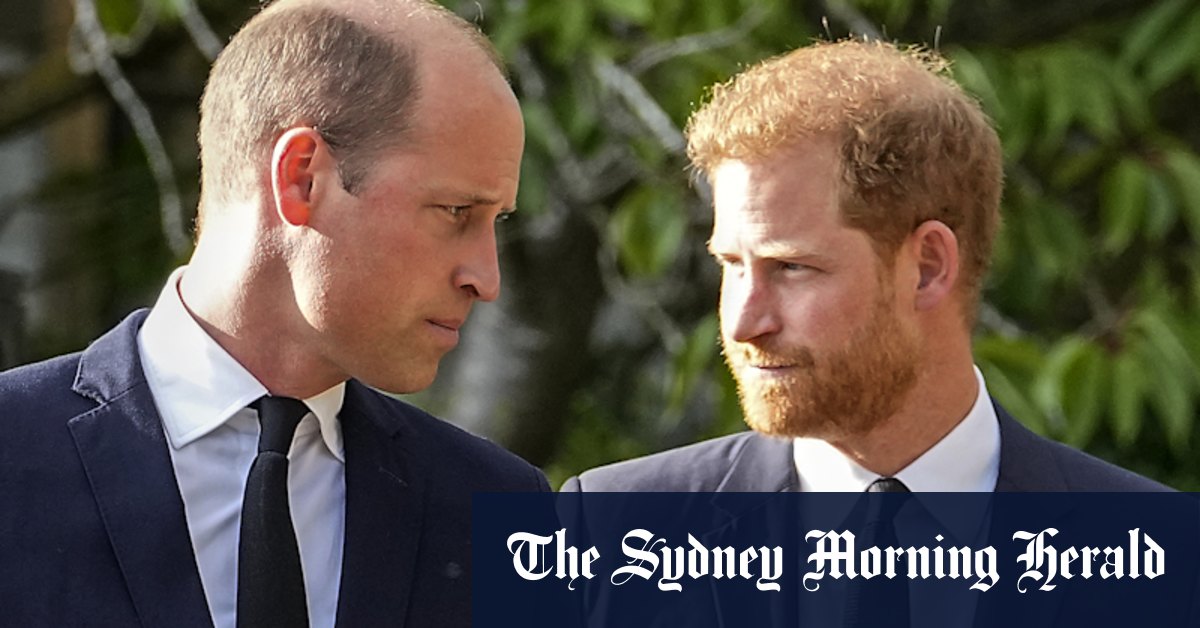 Lawyers suggest private investigators were paid to spy on royals