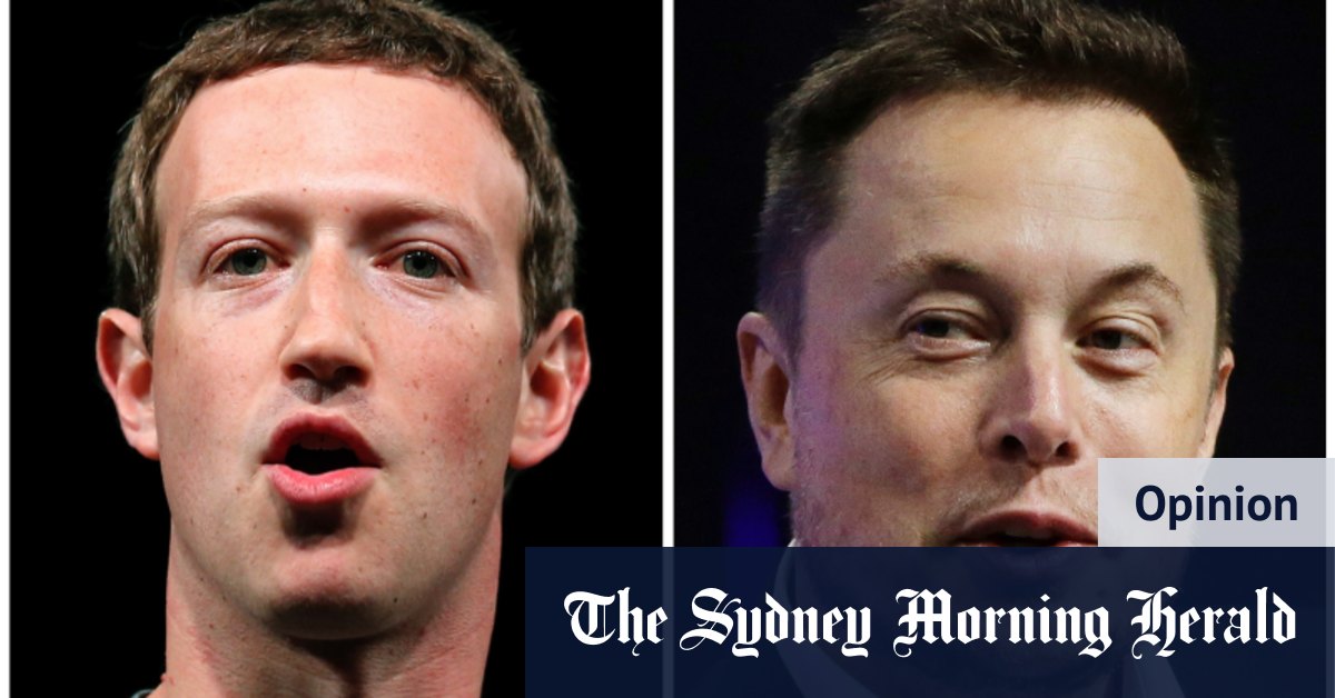 Musk has more to worry about than cage fight with Zuckerberg