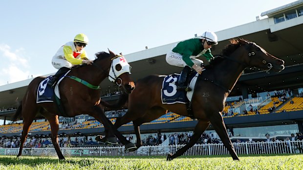 Dark Glitter, left, taking ground off winner Manaal late in the group 2 Sheraco Stakes at Rosehill on September 13.